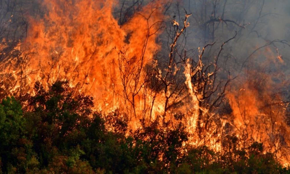 Πυρκαγιές ξέσπασαν σε Θεσσαλονίκη και Κάρπαθο
